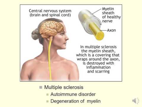 Lecture 14a: introduction to neuropsychology
