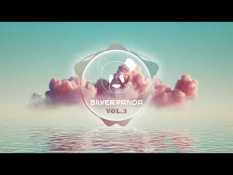 Silver Panda Melodic Sessions - Vol. 3