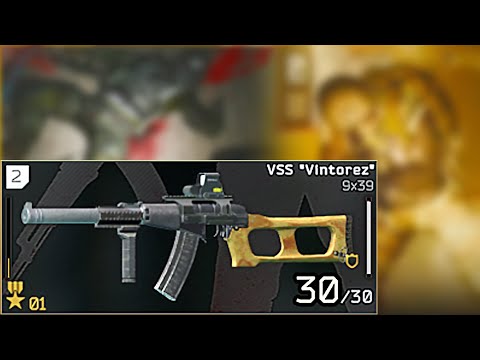 This is why VSS is still the tippy-top PVP Gun