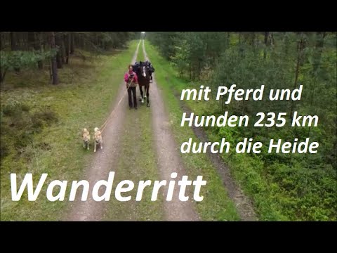 235 km Horse Trail Alone With my Horse and 2 Dogs in the Woods and Heath in Northern Germany