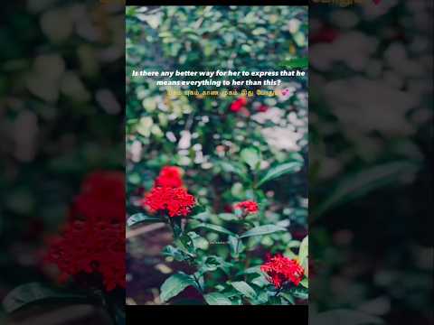 Yugam yugam kaana mugam ithu pothum💞#shorts #love #song #whatsappstatus #songstatus #blessed