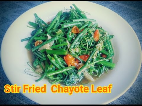 download lagu mp3 mp4 Chayote Shoots, download lagu Chayote Shoots gratis, unduh video klip Chayote Shoots