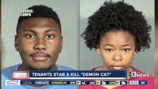 Las Vegas couple confesses to torturing, killing cat believed to be a demon