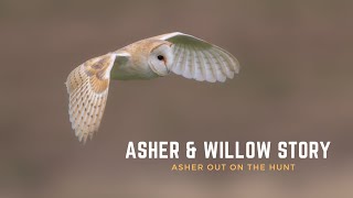 Asher the Barn Owl | Out on the Hunt