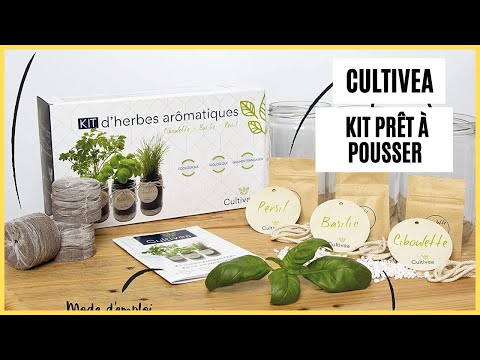 Kit Cultivea : arnaque ou solution miracle pour herbes fraîches ?