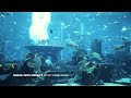 Thirteen WNET Newark NJ USA October 2022 ID Aquarium