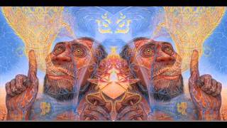 The Transformations Of Language...(Terence McKenna) [FULL]