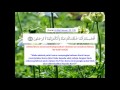 Ayat ayat ash-Shifa كلمة شفاء Al Quran Penawar Pelbagai Penyakit Ayat ayat ash-Shifa كلمة شفاء Al Quran Penawar Pelbagai Penyakit