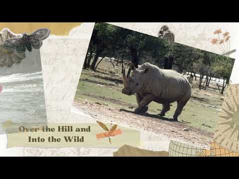 Over the Hill and Into the Wild with Denisa: Intro Trailer