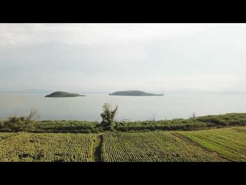 A walk along the lakeside: Lago Trasimeno, Umbria, Italy.