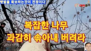 [사과재배] 과감하라/머뭇거리면 아무것도 못한다/ 충전식 전기톱 처음으로 사용해 보니
