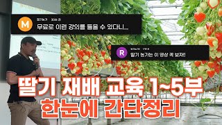 딸기 재배 교육 1~5부 한 장에! 간단 정리! | 농사 100단
