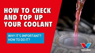 How to check and top up COOLANT in your VEHICLE | QUICK Check, Flush &amp; Fill anti-freeze