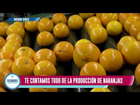 Naranjas, GPS