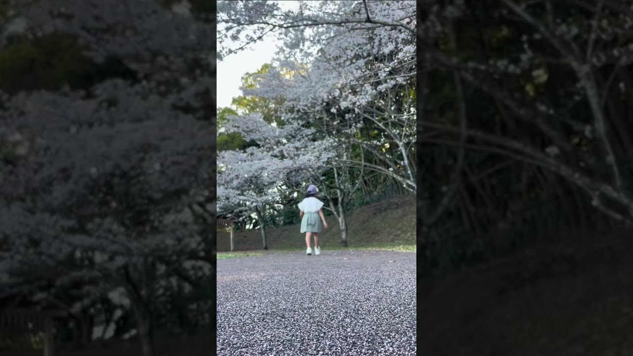 #さくら #かなみ #japan