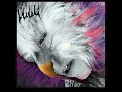 04 Luuli - Oh my Gold