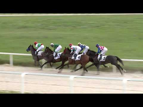 2020.06.21. 07. futam - PAPP SÁNDOR EMLÉKVERSENY HENDIKEP (II.o.) (szintetikus pálya)