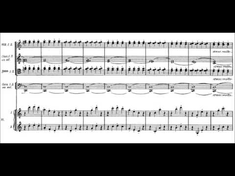 Georges Bizet - Symphony in C (1855) [Haitink Concertgebouw]