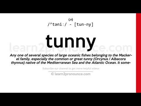 Pronunciation of Tunny | Definition of Tunny