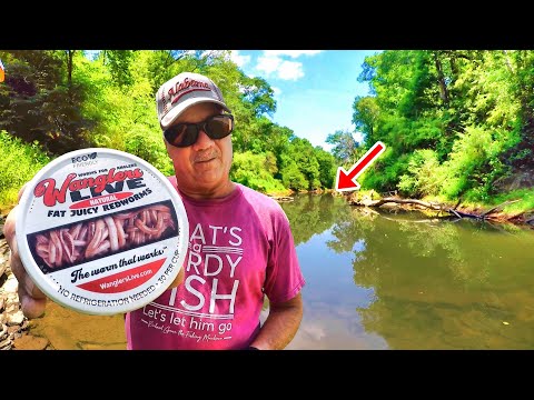 Easy Live Worm Fishing Setup For Anyone! (We Caught BIG Fish!)