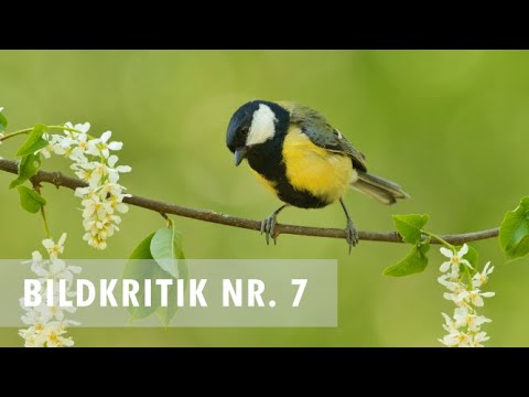 Ich beurteile eure Bilder/Bildkritik Nr. 7