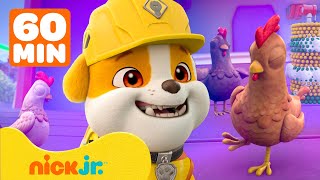 Download lagu Rubble | 🐾 Banho divertido e dança das galinhas! | Nick Jr. em Português mp3