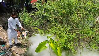 ডেঙ্গু প্রতিরোধ ও প্রতিকার