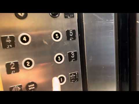 Miami Dover Hydraulic Elevator @ Lina Building, Miami, FL