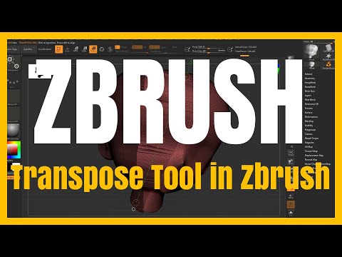 [Basic] First Steps in ZBrush I Introduction to ZBrush 12 – Transpose Tool in ZBrush