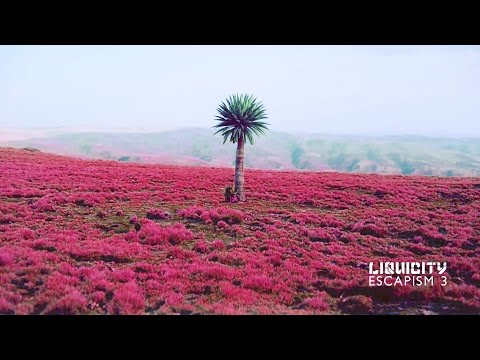 Video thumbnail for It Means Nothing