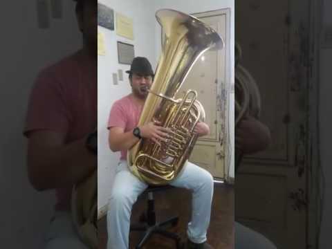 Felipe Bacon - Tuba B&M 6/4  4 rotores