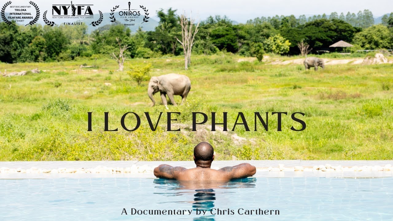 I Love Phants Documentary Short by Chris Carthern | Shots By Shinobi in Thailand
