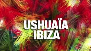 Ushuaia Ibiza meets Green Valley Tiesto Diego Miranda Felguk
