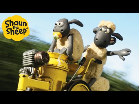 , title : 'Timmy's Greatest Adventures! 🤩 Shaun the Sheep Season 2 Full Episodes 🐑'