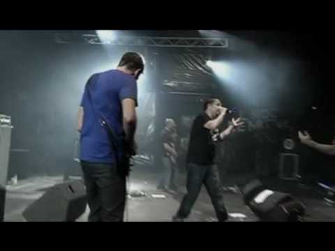 PEYOTE ASESINO -  MAL DE LA CABEZA En Vivo