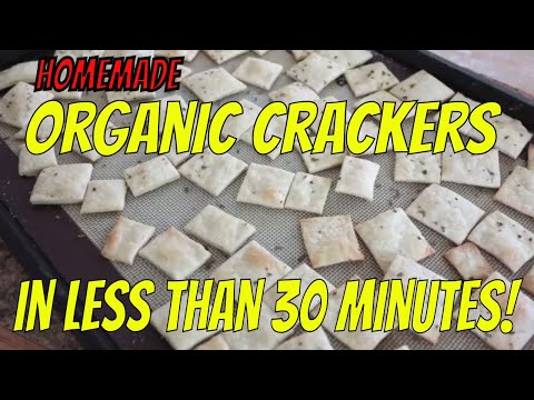 EASY Homemade ORGANIC CRACKERS in Less Than 30 Minutes!