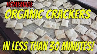 EASY Homemade ORGANIC CRACKERS in Less Than 30 Minutes!