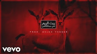 كلمات اغنية ريت الريم في عبد الكافي صالح ياسر