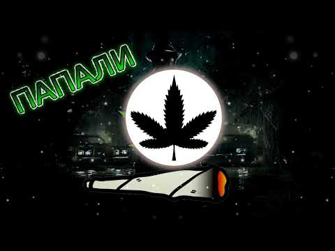 05 KikyoV - ПАПАЛИ