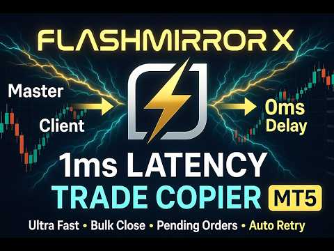 Video FlashMirrorX