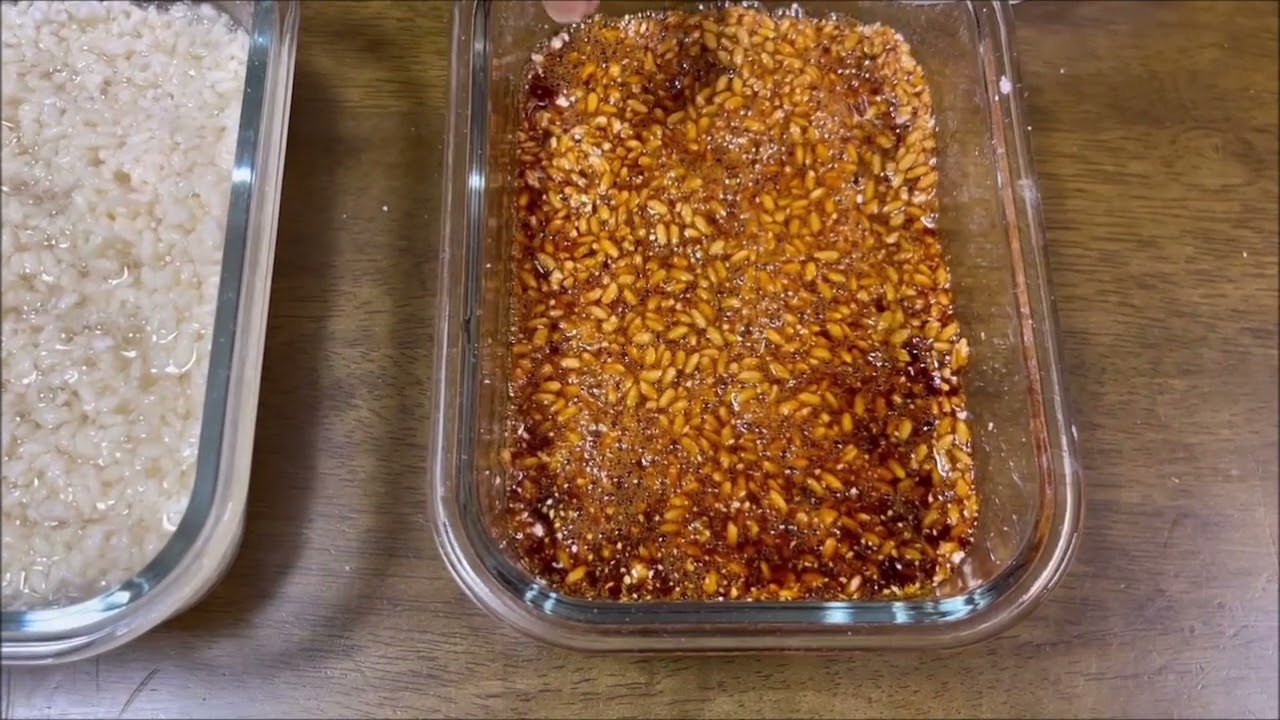 寒仕込みの塩麴としょうゆ麹