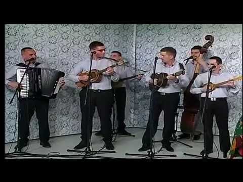 TS Divani - Upregnite u fijaker vrance~Slavonac sam~Samo za tebe znam