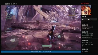 軽くねMHW配信 歴戦色々装飾品集め