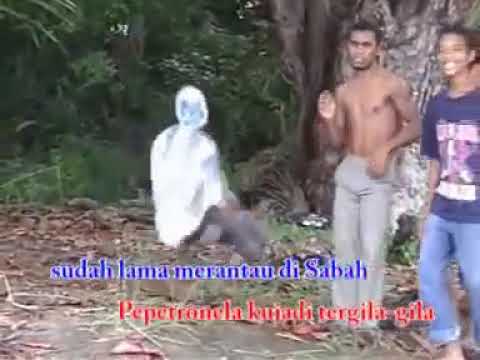 Petronela ku suka kamu