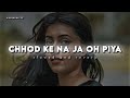 Chod Ke Na Jaa O Piya Slow Reverb Alka Yagnik Maa Tujhhe Salaam Arbaaz Khan Monal Lofi