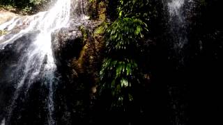 preview picture of video 'Beautiful Argyle Falls, Tobago'