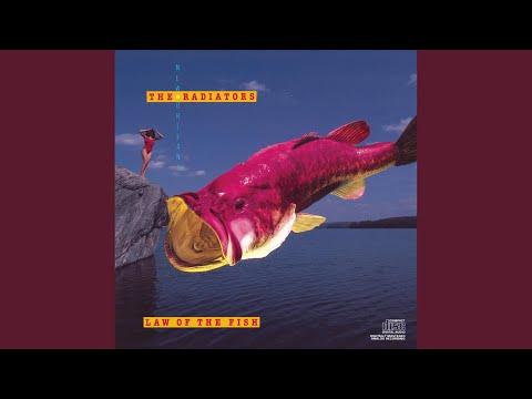 Boomerang - The Radiators (US)