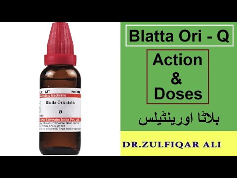 Blatta Orientalis | Action | Doses | Explained in Urdu/Hindi