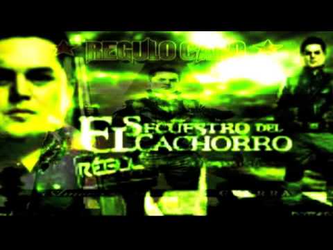 El Secuestro Del Cachorro "el coyote"