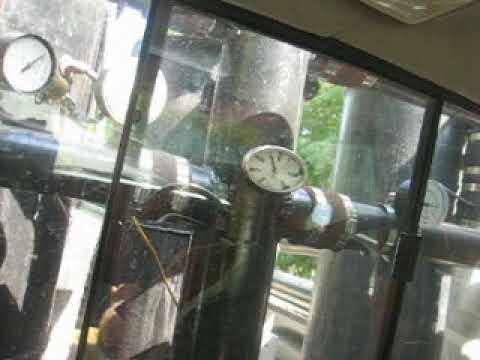 Joy riding the 95 Dakota